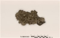 藏品(大裸緣梅衣)的圖片